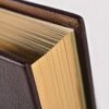 L'Odyssée d'Homère édition Luxe