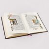 L'Odyssée d'Homère édition Luxe