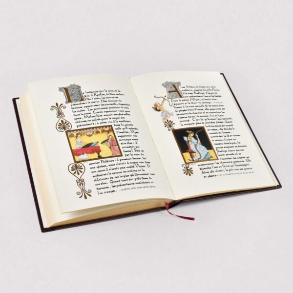L'Odyssée d'Homère édition Luxe