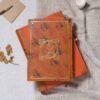 Saint Jacques de Compostelle livre de collection édition LARROQUE exemplaire Luxe arrière