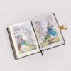 Tao Tö King livre de collection édition LARROQUE exemplaire Tête intérieur