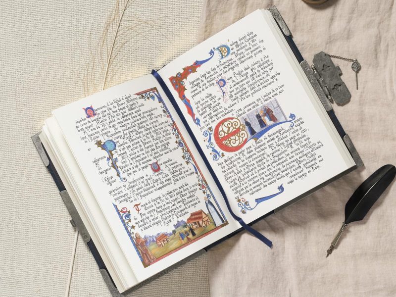 Les Cathares livre de collection édition LARROQUE exemplaire Tête intérieur